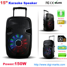 Tragbare tragbare drahtlose Bluetooth DJ Karaoke-Lautsprecher